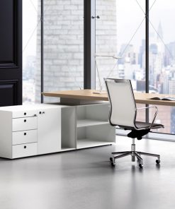 Manager Desk DM 21